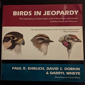 Birds in Jeopardy
