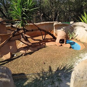 Lesser Grison Habitat by mid-September