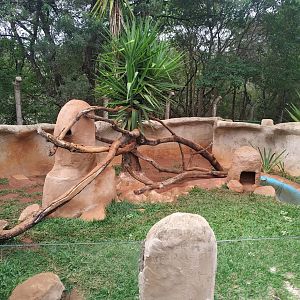 Lesser Grison Habitat in late October