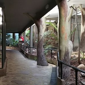 Renovated Bird House