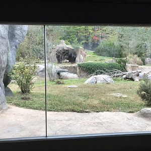 Polar Bear Tundra Habitat