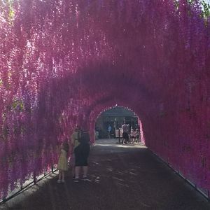 Pittsburgh 8/21 - path to escalator/elevator
