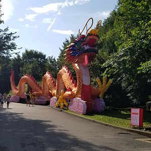 Pittsburgh 8/21 - Chinese dragon