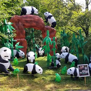 Pittsburgh 8/21 - Giant pandas