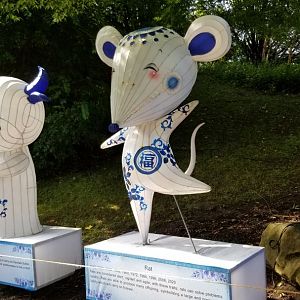 Pittsburgh 8/21 - Rat from zodiac