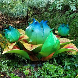 Pittsburgh 8/21 - Piranha plant