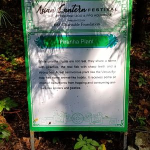 Pittsburgh 8/21 - Piranha plant sign