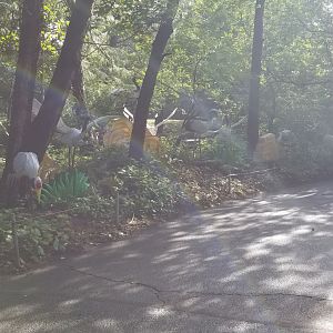 Pittsburgh 8/21 - Cranes