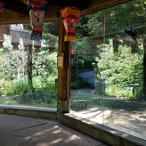 Pittsburgh 8/21 - Red panda