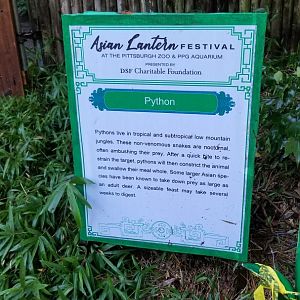 Pittsburgh 8/21 - "Python" sign