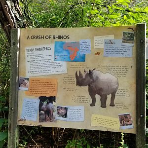 Pittsburgh 8/21 - Black rhino sign