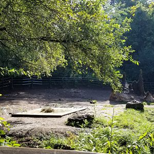 Pittsburgh 8/21 - Black rhino exhibit