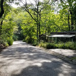 Pittsburgh 8/21 - Path, flamingo winter holding on right
