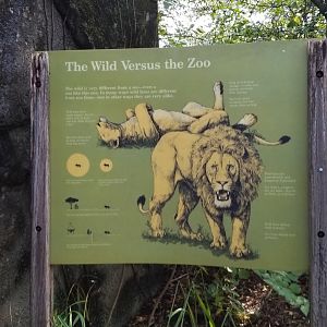Pittsburgh 8/21 - Lion signage, zoo vs wild