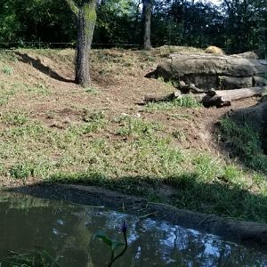 Pittsburgh 8/21 - Lions, panorama of exhibit