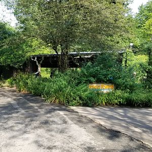 Pittsburgh 8/21 - Leopard