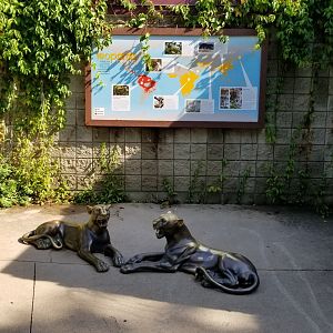 Pittsburgh 8/21 - Leopard