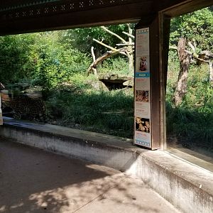 Pittsburgh 8/21 - Leopard