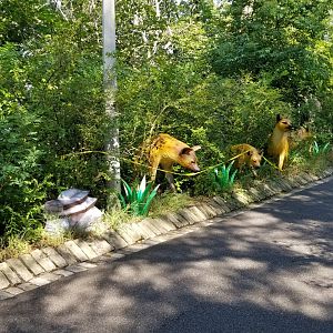 Pittsburgh 8/21 - Spotted hyenas