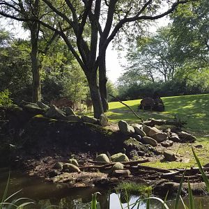 Pittsburgh 8/21 - Nyala playing