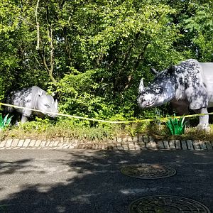 Pittsburgh 8/21 - Rhino lanterns