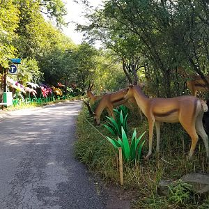 Pittsburgh 8/21 - Gazelles ("antelope"), flowers