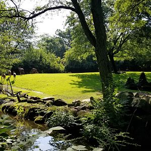 Pittsburgh 8/21 - Nyala