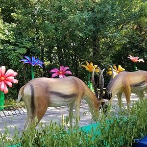 Pittsburgh 8/21 - Gazelles and flowers