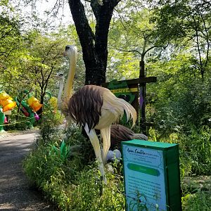 Pittsburgh 8/21 - Ostriches, more flowers