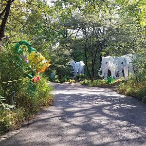 Pittsburgh 8/21 - Elephants