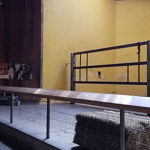 Pittsburgh 8/21 - Elephant indoors