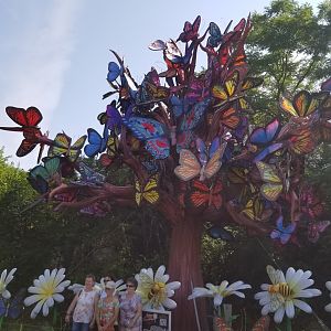 Pittsburgh 8/21 - Giant butterfly tree
