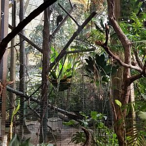 Pittsburgh 8/21 - Primates