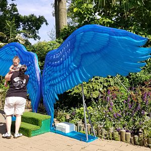 Pittsburgh 8/21 - Wings for photo op