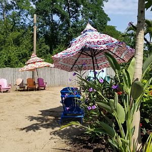 Pittsburgh 8/21 - "Beach" for humans to sit