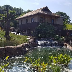 Pittsburgh 8/21 - Primate area