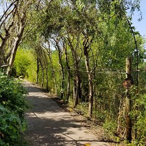 Pittsburgh 8/21 - Entrance to jungle odyssey