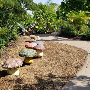 Pittsburgh 8/21 - Jungle odyssey path