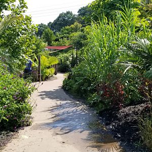 Pittsburgh 8/21 - Jungle odyssey path