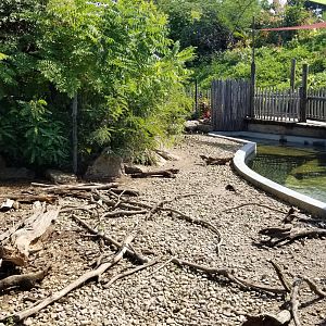 Pittsburgh 8/21 - Capybara and giant anteater