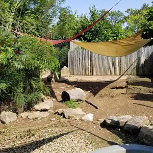 Pittsburgh 8/21 - Capybara and giant anteater