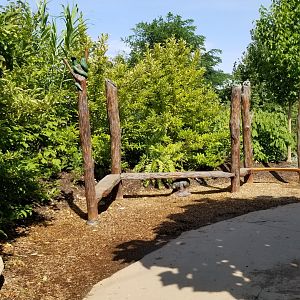 Pittsburgh 8/21 - Jungle odyssey, climbing stuff for kids