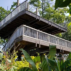 Pittsburgh 8/21 - Zip line start