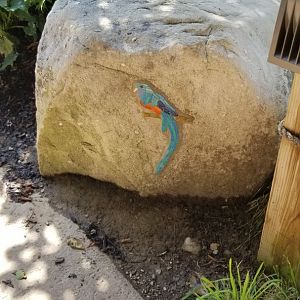 Pittsburgh 8/21 - Carvings in rocks