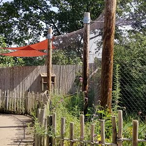 Pittsburgh 8/21 - Ocelot