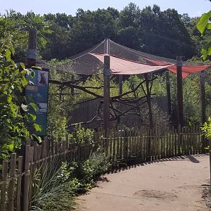 Pittsburgh 8/21 - Fossa