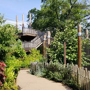 Pittsburgh 8/21 - Start of zipline