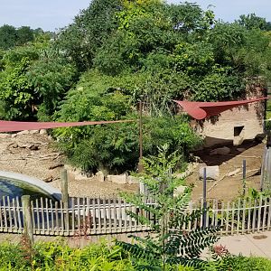Pittsburgh 8/21 - Giant anteater / capybara from above