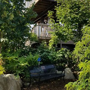 Pittsburgh 8/21 - End of zipline