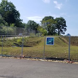 Pittsburgh 8/21 - New path from jungle odyssey to aquarium